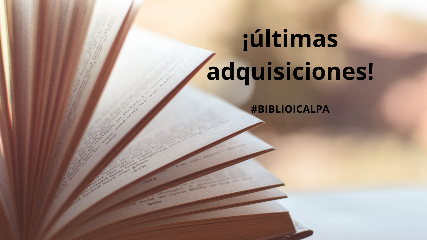 Biblioteca Ilustre Colegio de Abogados de Las Palmas ICALPA